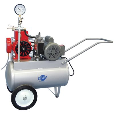 Electric Motor Portable Milking Machine Kit for Sheep, Goats & Cows